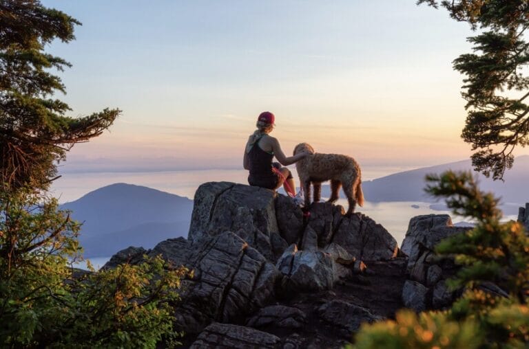 Wandern mit Hund: Der ultimative Ratgeber