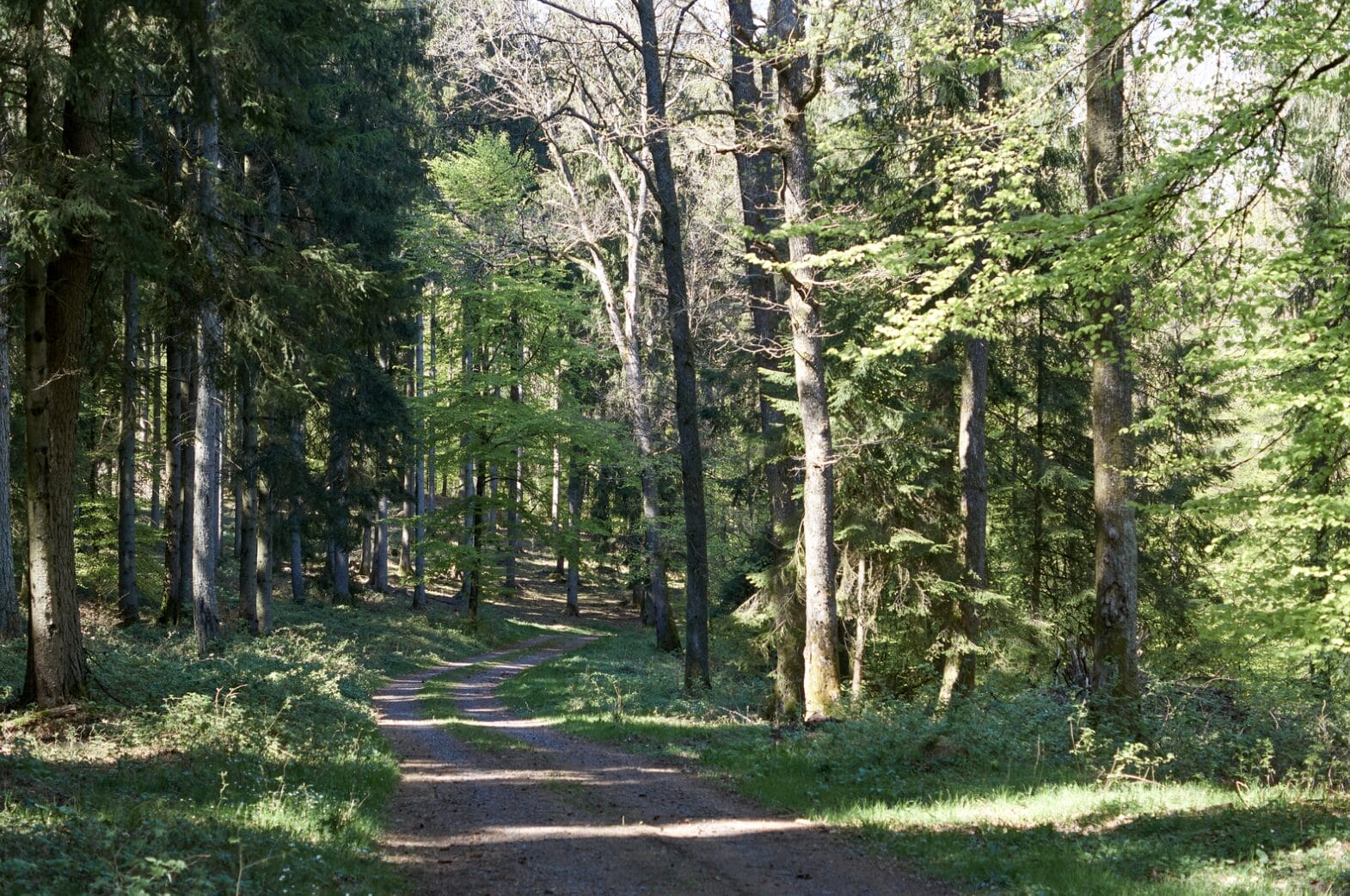 Eifel Trekking: Ein Leitfaden für Abenteurer und Naturliebhaber