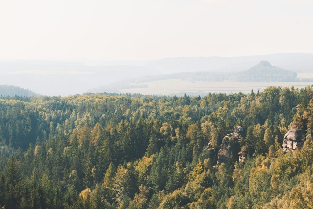 Rauenstein Wandern – Ein unvergessliches Abenteuer in der Sächsischen Schweiz