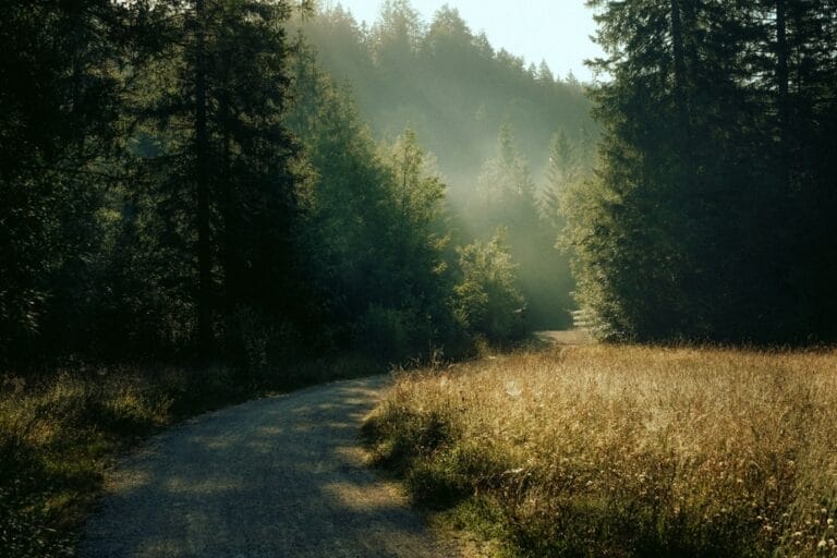 Ellmau ist ein Paradies für Wanderer