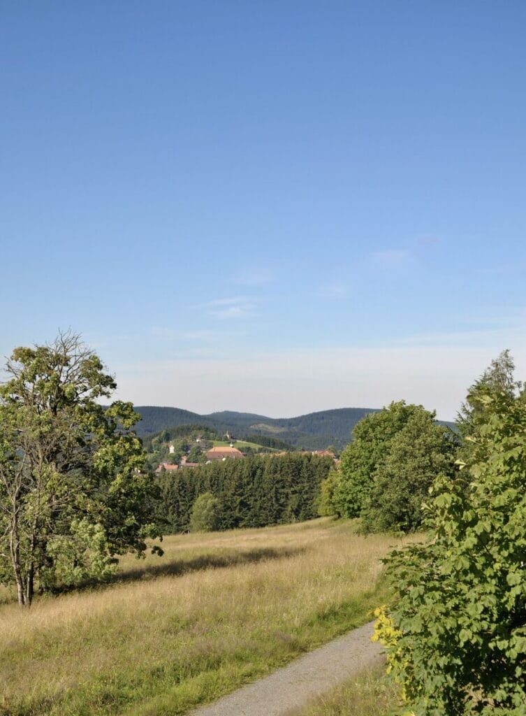 Bedeutung des Wanderns in Sankt Andreasberg