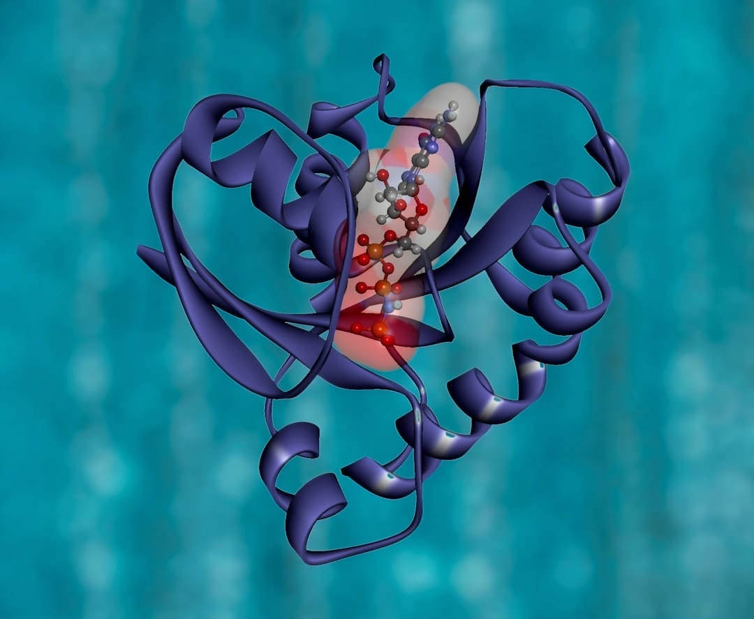 Photo Die Rolle von Proteinen: Muskelerhalt und -regeneration beim Wandern